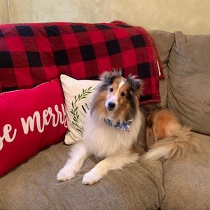 Meet your Posher, Brandy